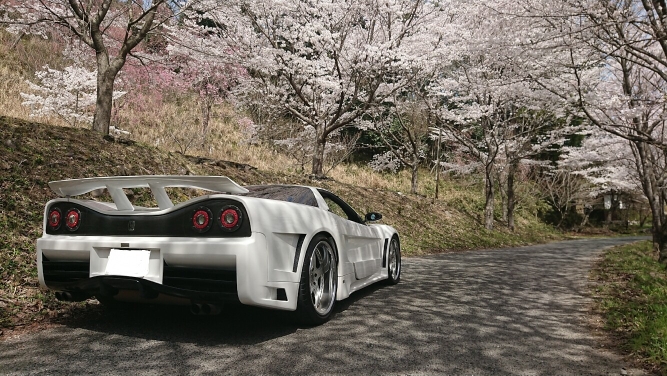 NSXの桜・ヴェイルサイド・VeilSideに関するカスタム事例の投稿画像4枚目