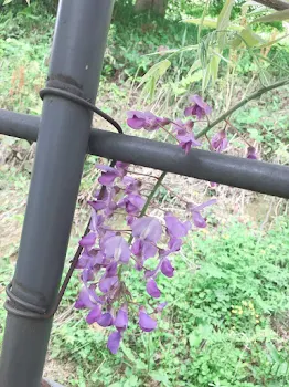 恋って難しい#1
