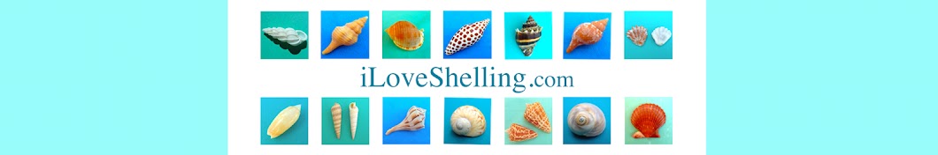 i Love Shelling Banner