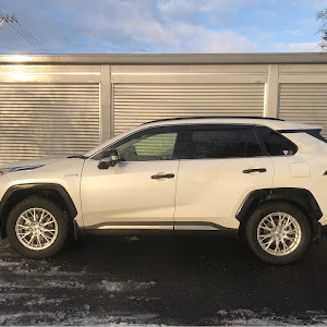 RAV4 AXAH54