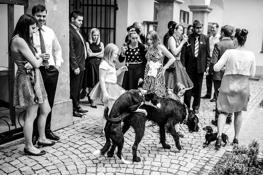 Hochzeitsfotograf Petr Wagenknecht (wagenknecht). Foto vom 1. Juli 2015