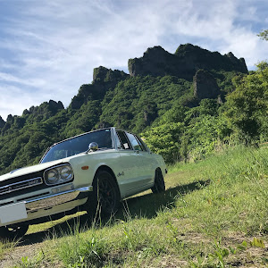 スカイライン