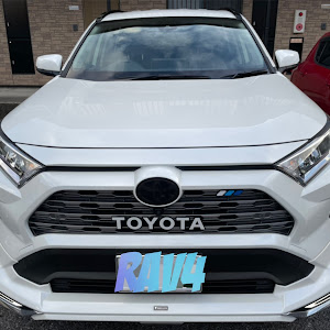 RAV4 MXAA54