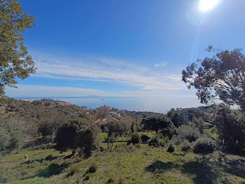 terrain à Bastia (2B)