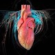 Download cardiovascular system For PC Windows and Mac 2.1