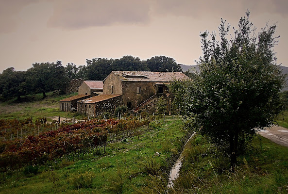 Podere le Capannelle di nicolamelottophotography