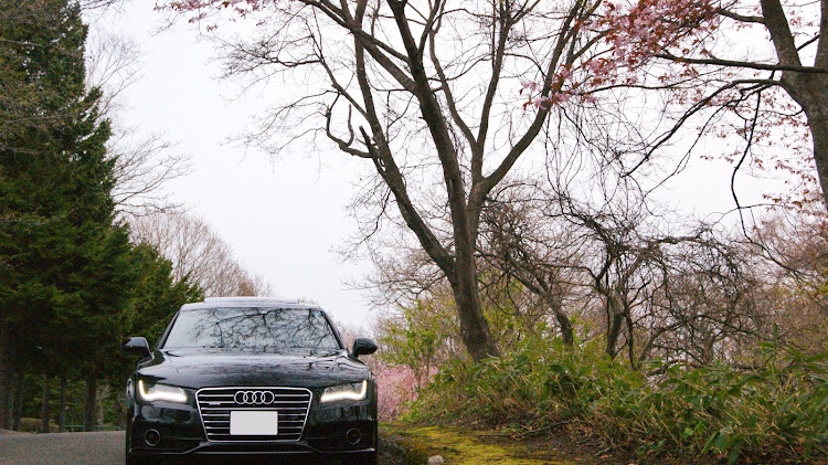 A7 スポーツバックのアウディ・アウディ好きな人と繋がりたい・桜とコラボ・試される大地・明日からGWに関するカスタム事例の投稿画像1枚目