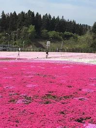 やあやあ