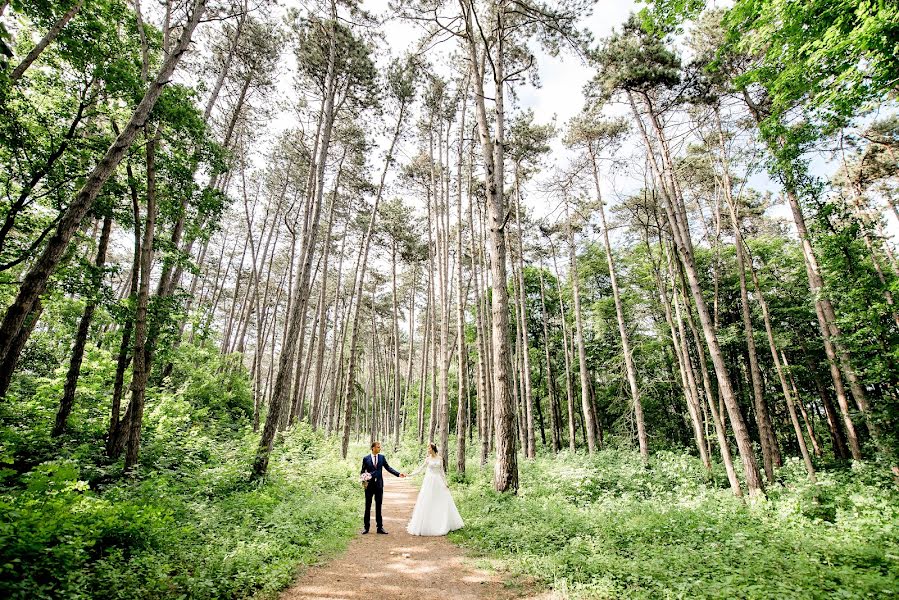 Wedding photographer Andrey Opir (bigfan). Photo of 29 May 2018