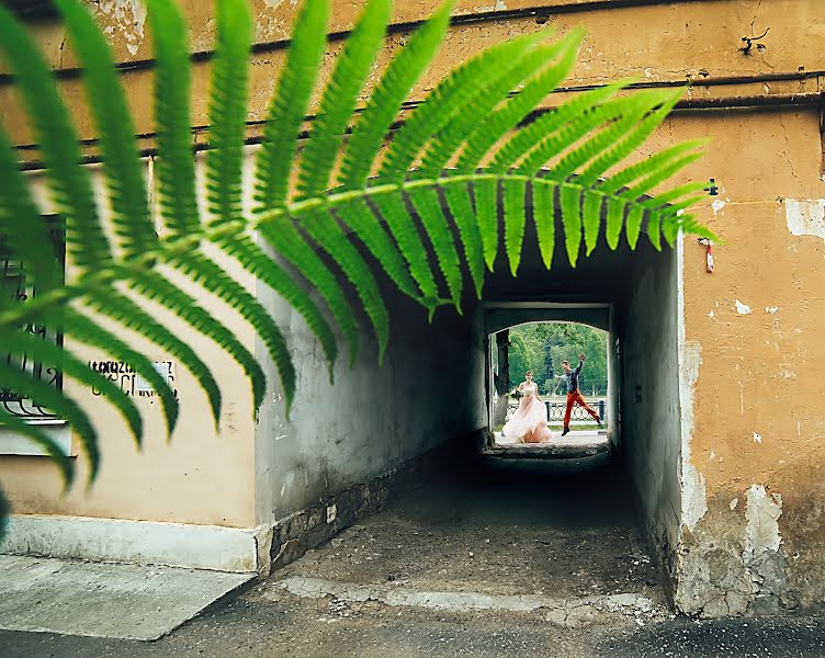 Fotograful de nuntă Lena Astafeva (tigrdi). Fotografia din 4 iunie 2018