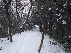 前日までの跡を追う