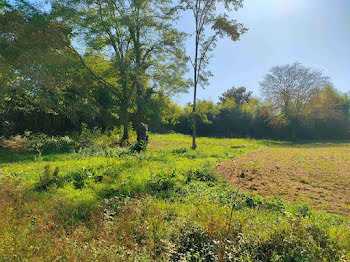 terrain à Pompignac (33)