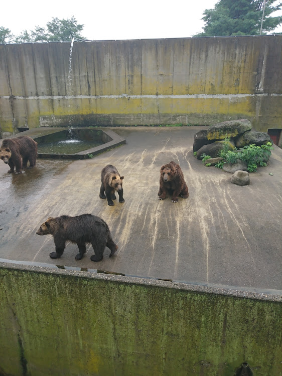 チェリーさんが投稿したキャンプ・墓参り・家族旅行に関するカスタム事例の投稿画像5枚目