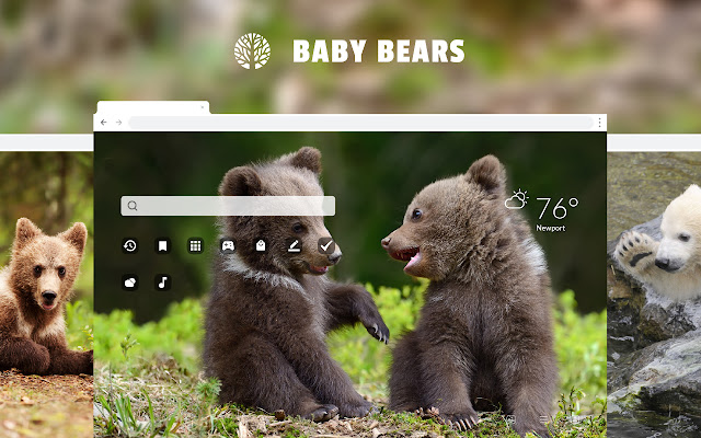 Baby Bears - Cute Wild Bear HD Wallpaper