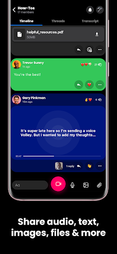 Volley - Video Messaging