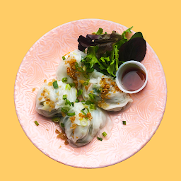 Thai Gluten Free Dumplings