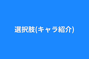 選択肢(キャラ紹介)