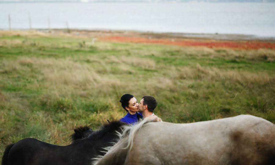 Fotografo di matrimoni Aleksey Kozlov (kozlove). Foto del 29 dicembre 2015