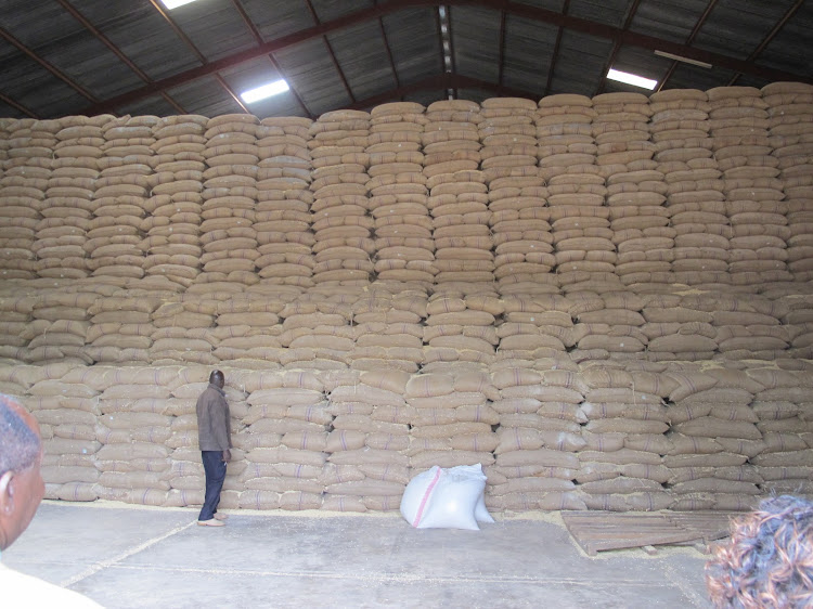 Maize stocked in Kitale NCPB depot