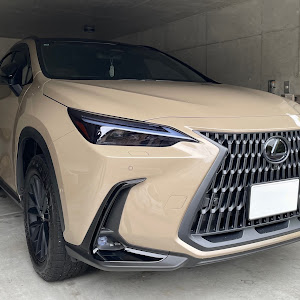 NX AAZH20