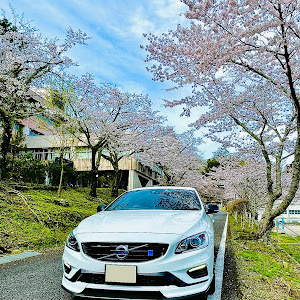 S60 FB420