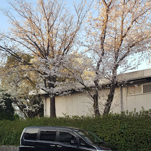 セレナ C25型