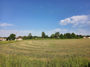 terrain à Saint-Gauzens (81)