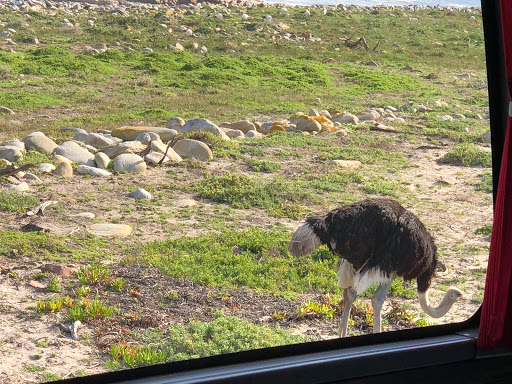 Cape Point South Africa 2018