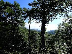 目指す白木峰が見えて（中央左）