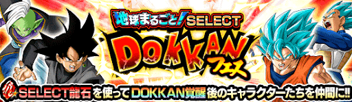 SELECT DOKKANフェス