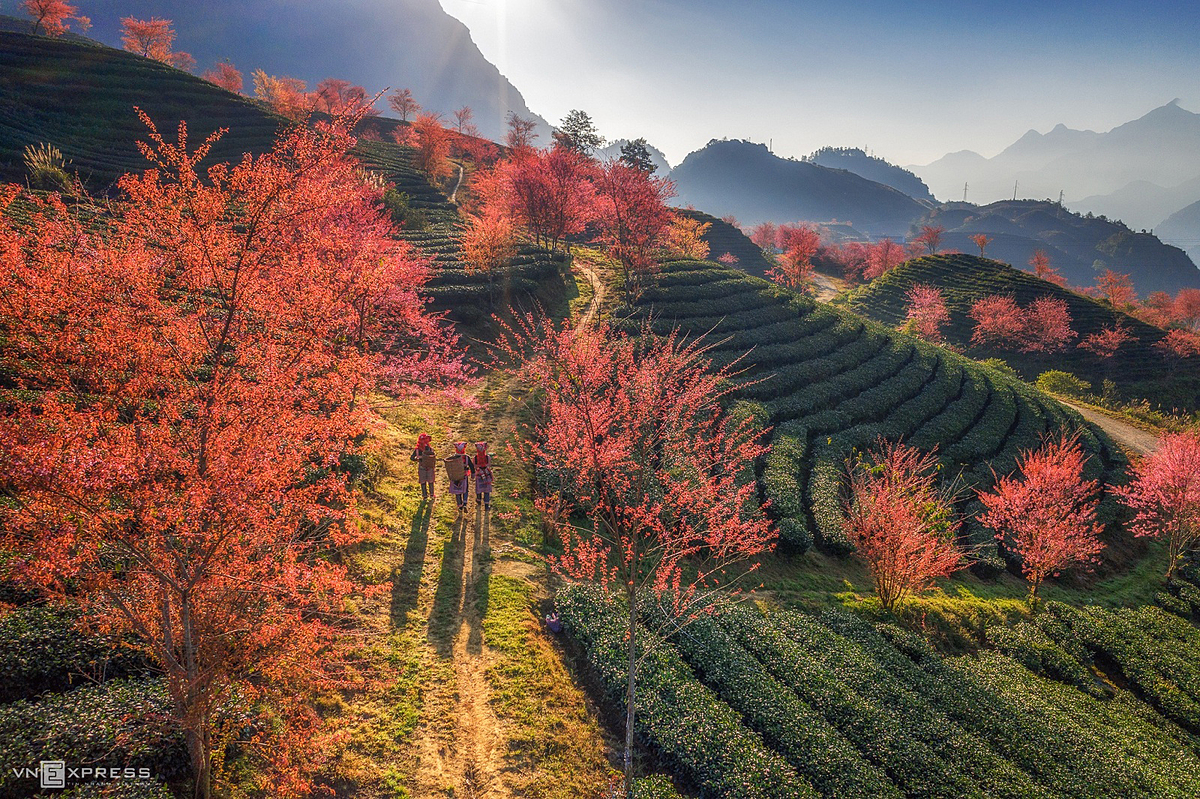 Sapa, Vietnam