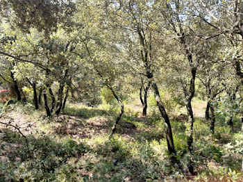 terrain à Sainte-Anastasie-sur-Issole (83)