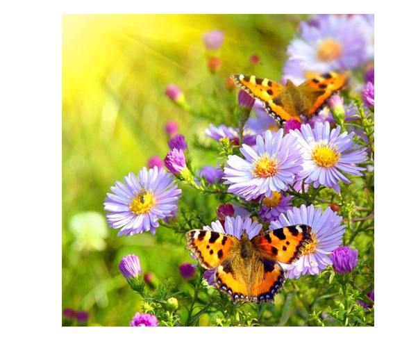 images slider number - 3
