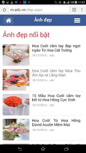 Mạng thông tin giải trí ADZ.VN