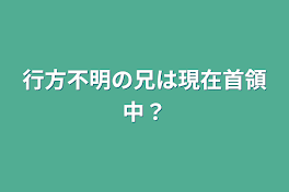 行方不明の兄は現在首領中？