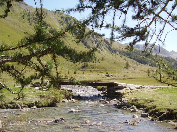 Colore e natura di la monella