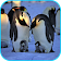 Penguins Video Live Wallpaper icon