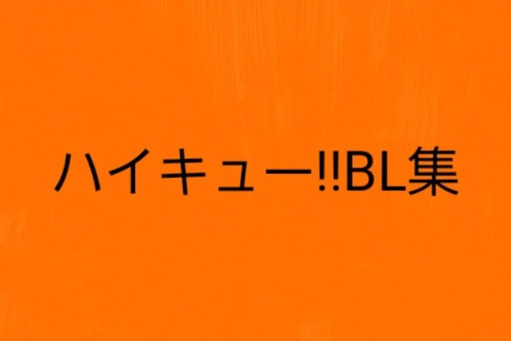 「ハイキュー!!BL集」のメインビジュアル