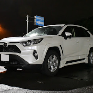 RAV4 MXAA54