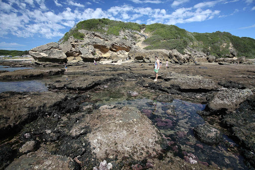 STRANGE SEAS: East Londoners at Nahoon Beach yesterday during the super-low tide leaving a vast area to explore Picture: MARK ANDREWS