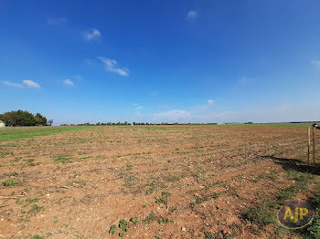 terrain à Saint-Aubin-la-Plaine (85)