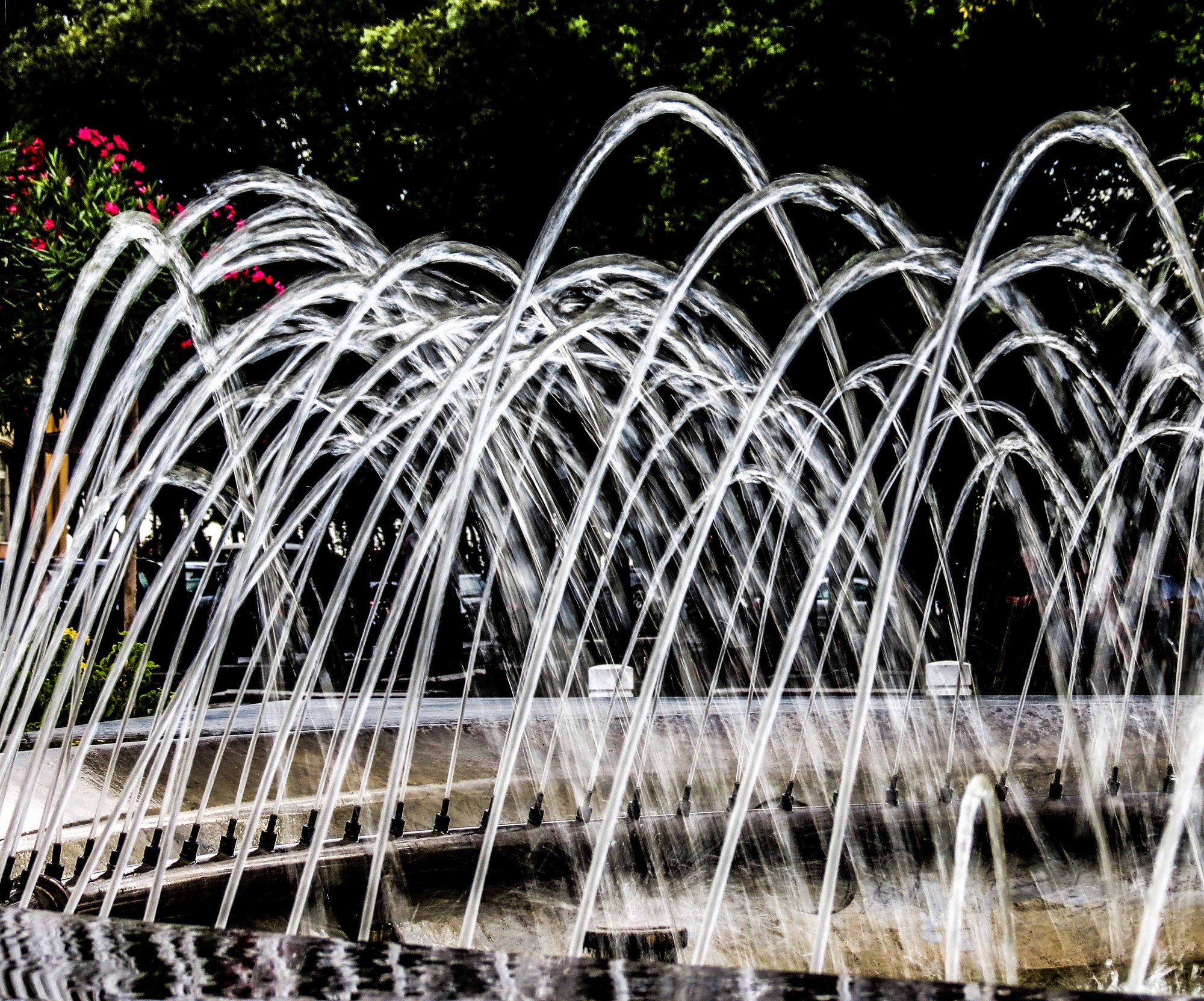 Acqua curva, acqua chiara.... di alfonso gagliardi