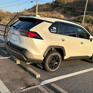 RAV4 MXAA54