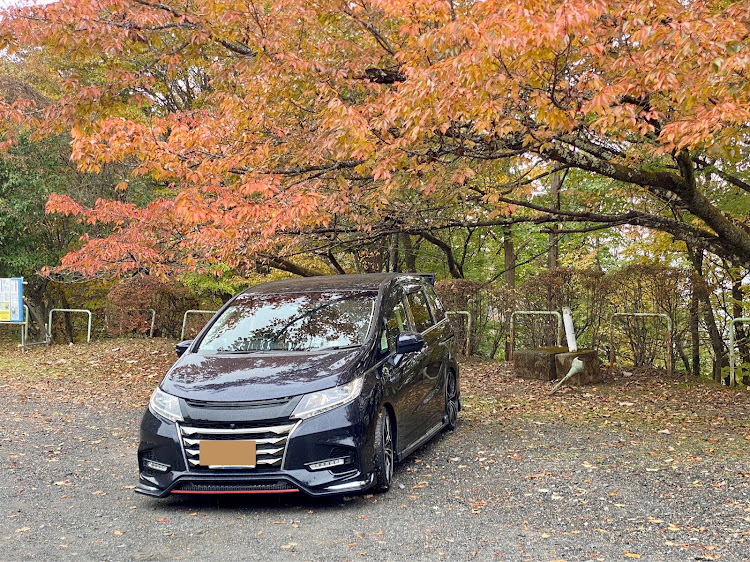 オデッセイの毎日投稿継続中・紅葉ドライブ・小さな秋を見つけに・月夜見第二駐車場・奥多摩周遊道路に関するカスタム事例の投稿画像4枚目