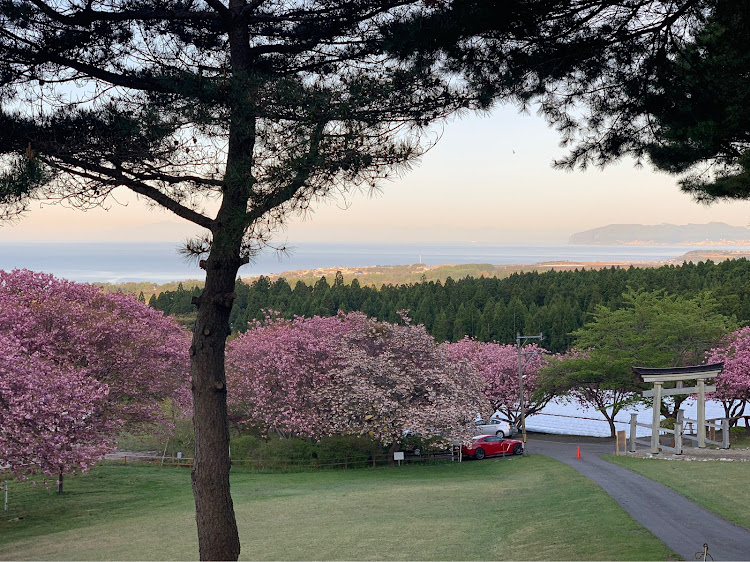 NISSAN GT-Rの石崎地主海神社・早起き・まだ桜やってます(笑)・ソロツーリングに関するカスタム事例の投稿画像18枚目