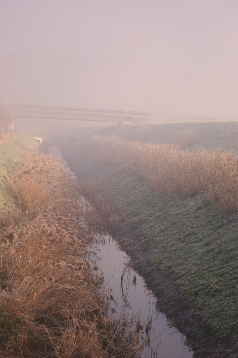 prima nebbia di gianluca_anziati