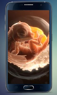 How to mod Embryo Dragon Live Wallpaper lastet apk for laptop