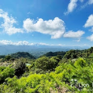 鍾鼎山林 雲海景觀咖啡廳・老薑蒸足浴