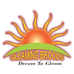 Cover Image of Herunterladen Gleaming Broods Academy 1.0.87.1 APK