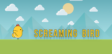 Screaming Bird by Ak Web Designer APK